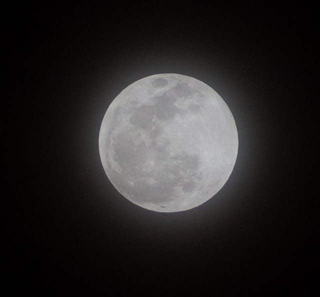 Pre-eclipse moon, 6:32PM, DSLR 300mm, ISO 800, 1/1250 second (Source: Palmia Observatory)