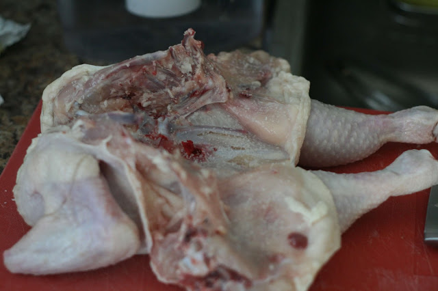 Alternative view of the chicken with the spine cut