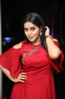 Poorna in Maroon Dress at Rakshasi movie Press meet Cute Pics ~  Exclusive 06