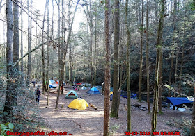 Panther Creek Falls Camp Ground