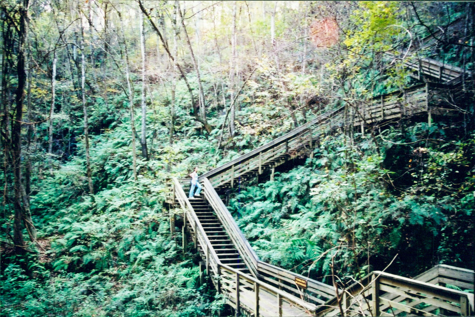 Orlando Street Photography Devil's Millhopper Photo Scan