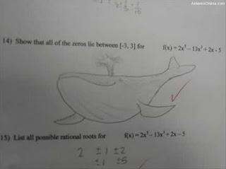 funny exam answers