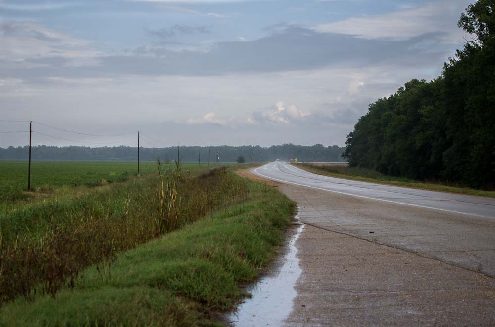 In the Mississippi Delta Photography In Place