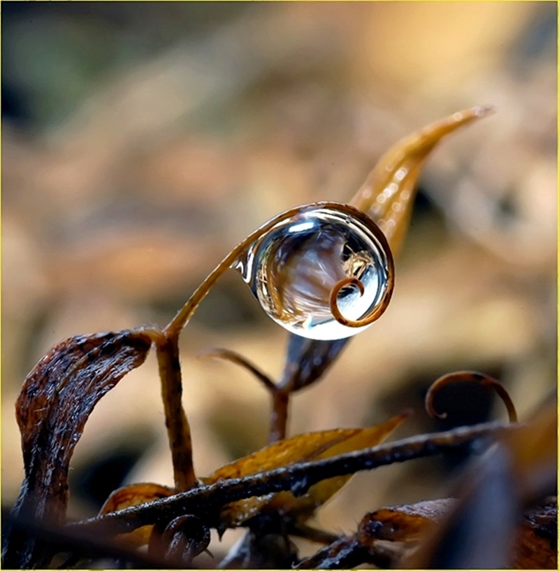 wallpapers of raindrops. Colourful Raindrops Wallpapers
