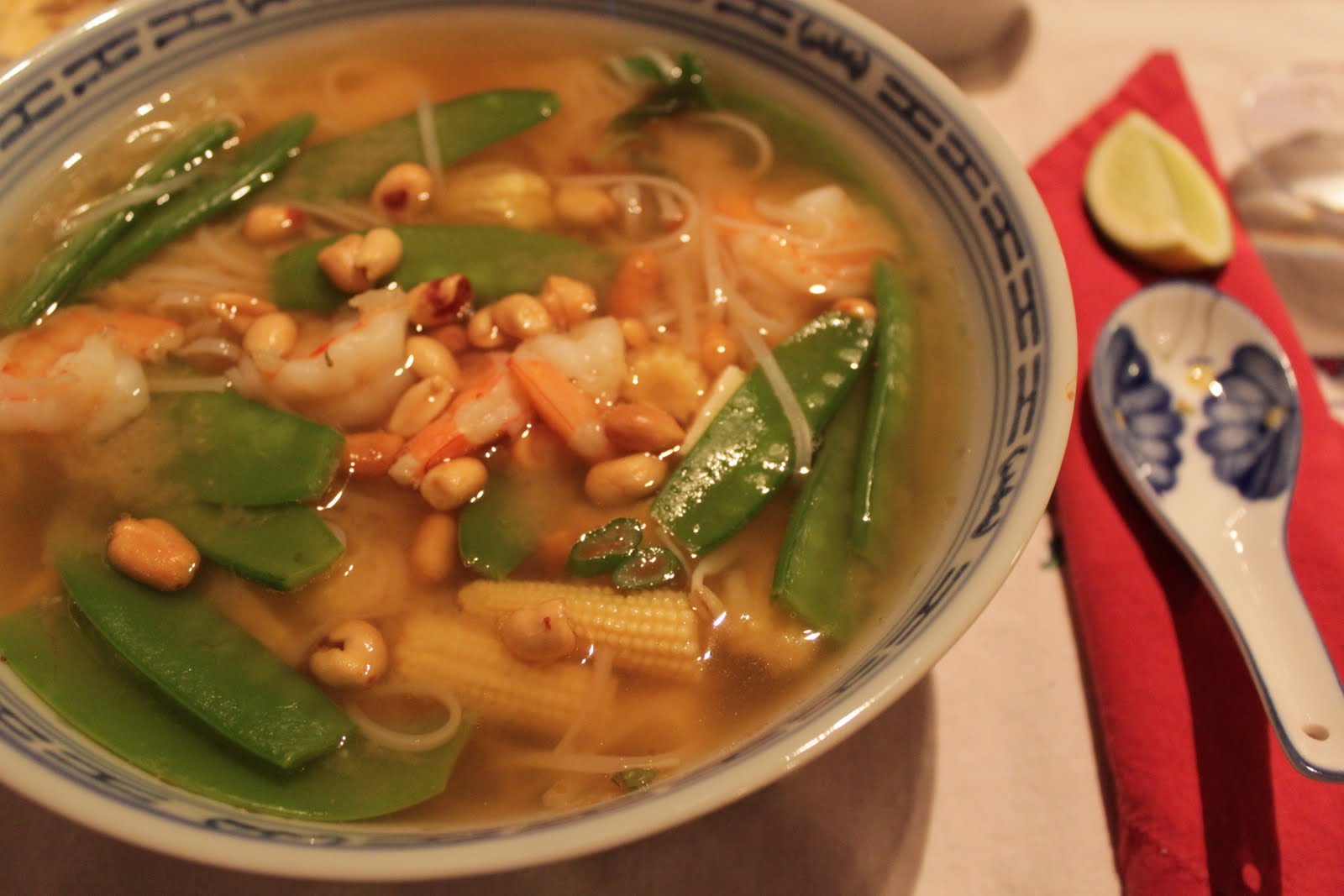 Les Gourmandes de Montréal Soupe tonkinoise