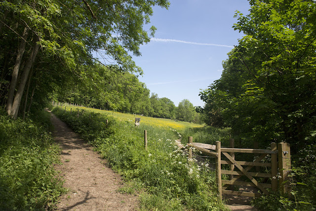The Conservation Field.  High Elms Country Park, 30 May 2012.