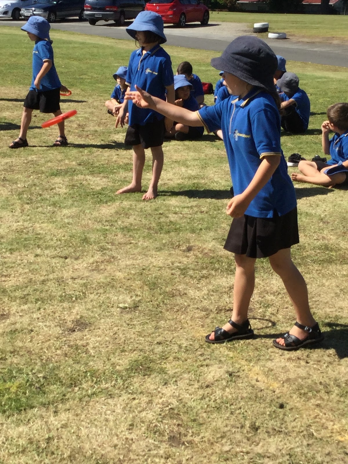 THE SPLASH ZONE CARLTON SCHOOL ATHLETICS