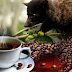 Kenapa Kopi Luwak Begitu Istimewa