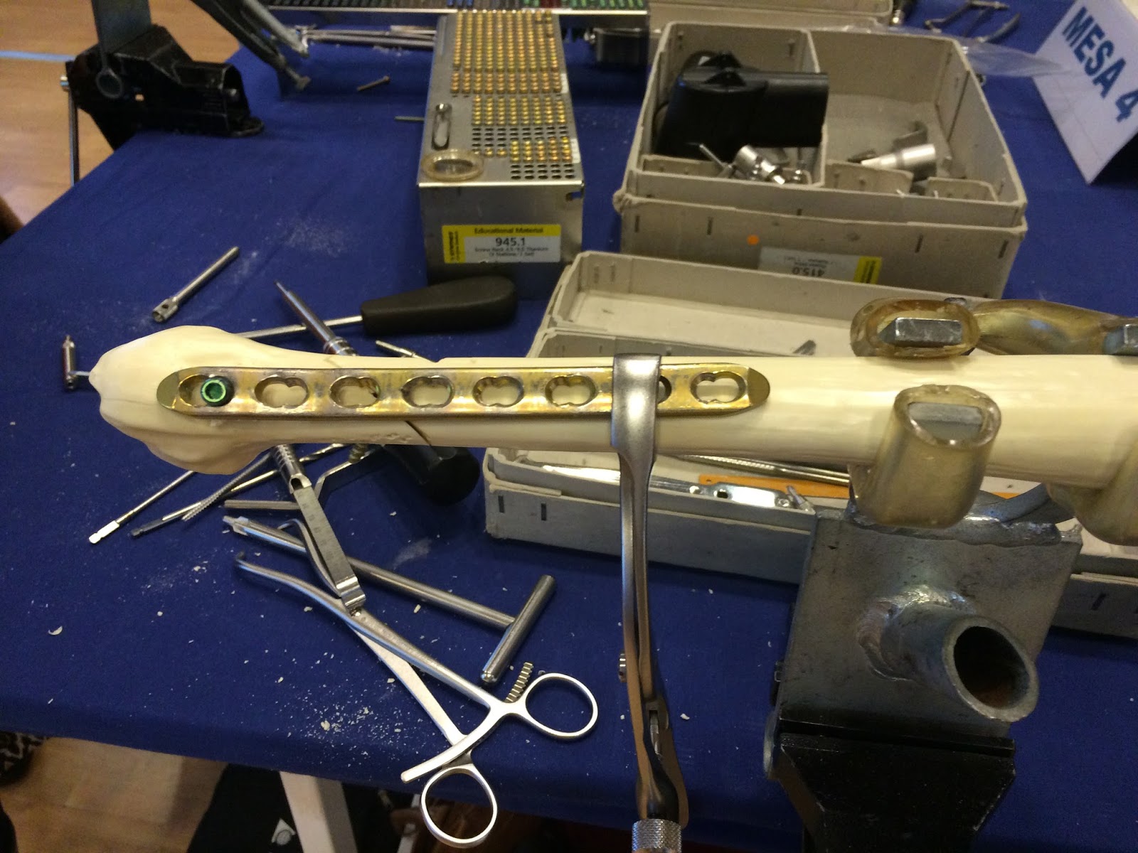 Online Quality Dissertation Writing Services Uk Buy Essays