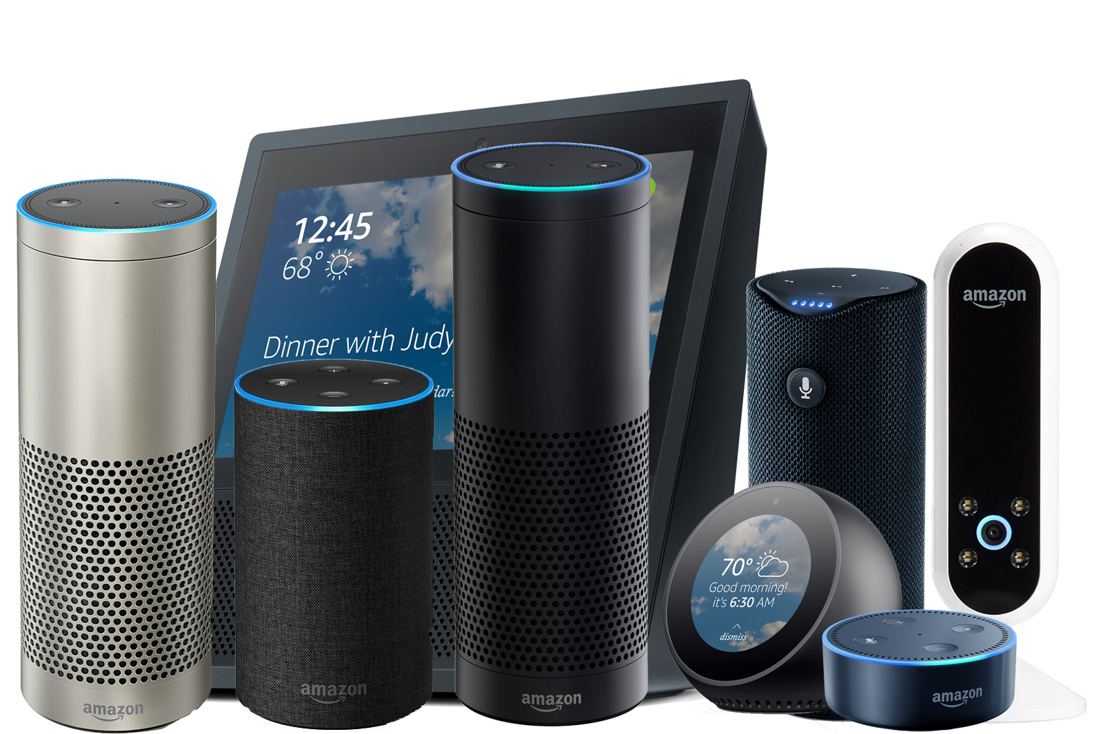 amazon echo dead