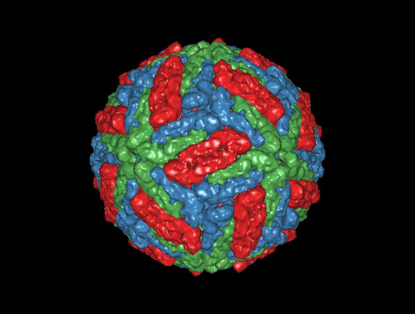 Dengue Virus Envelope Protein