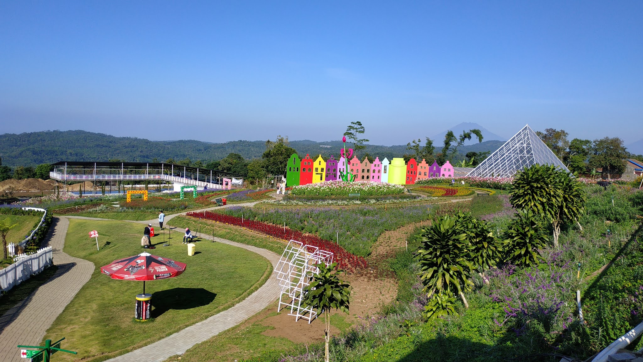 Keindahan Alam di Taman Bunga Celosia