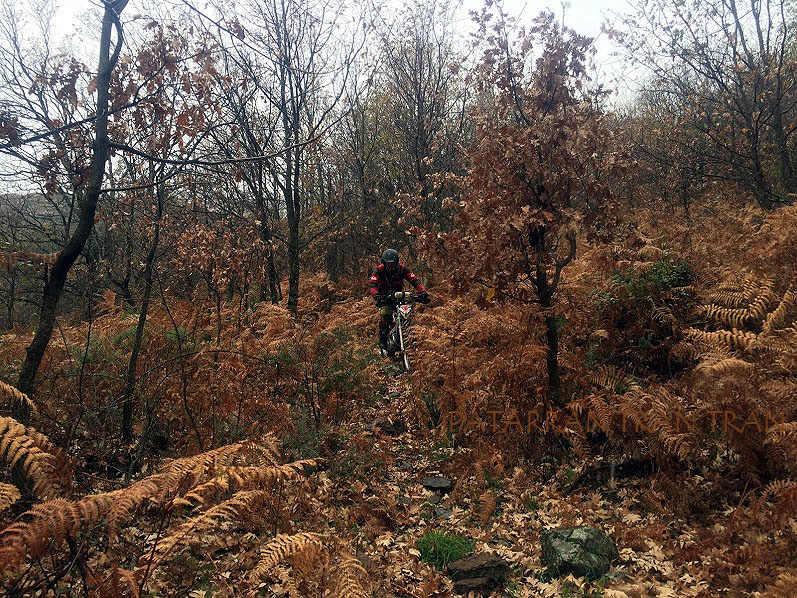 Cota 315r: Trial Excursión con nevada incluida