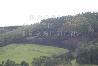 Incendio en Sopelana (Sopela), en 2015.