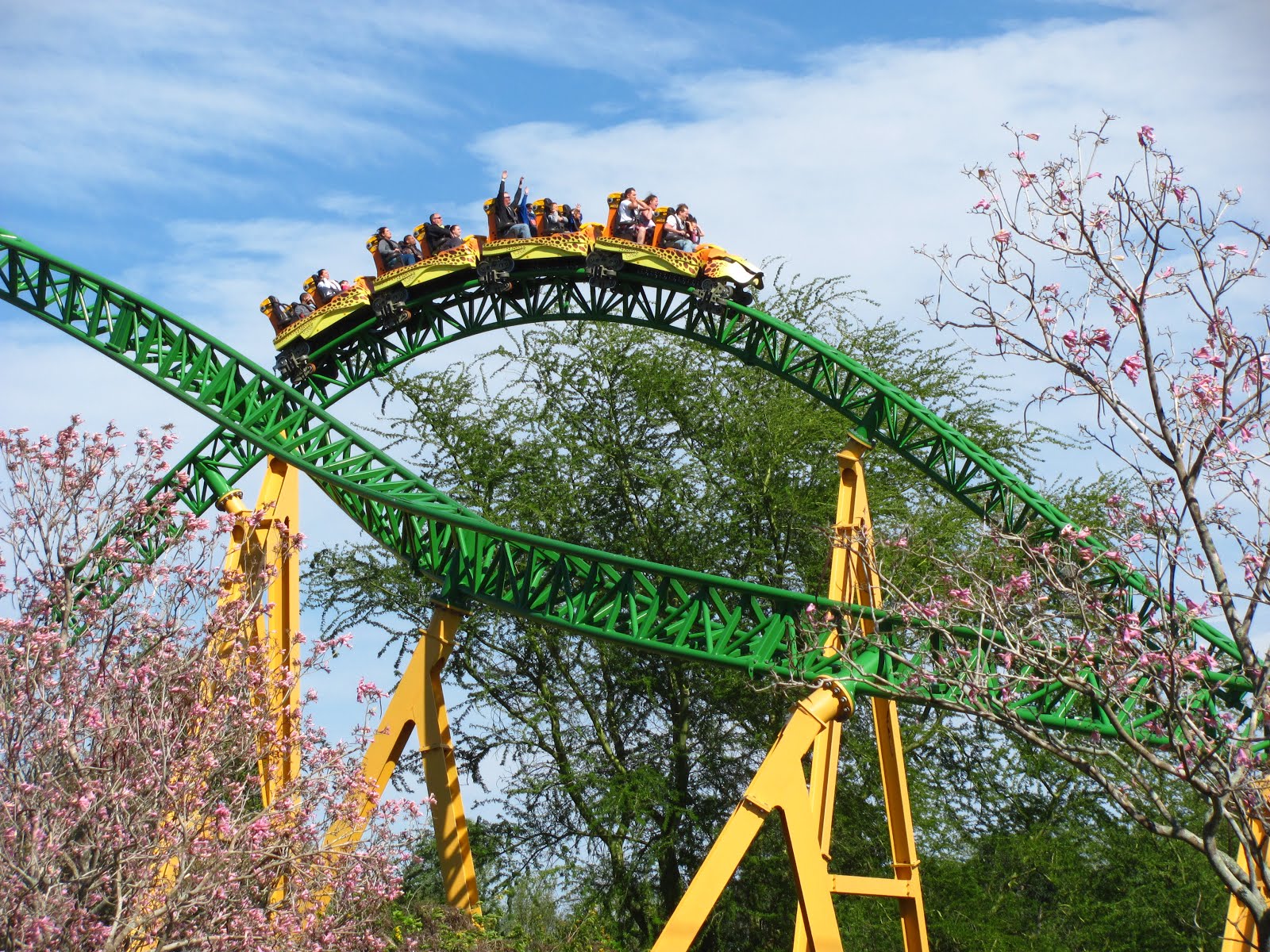 Cheetah Hunt Review Busch Gardens Tampa Amusement Insider Cheetah Hunt Review Busch Gardens Tampa Amusement Insider