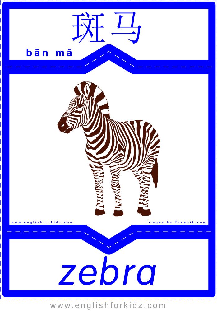 EnglishChinese Flashcards Wild Animals. Part 5.