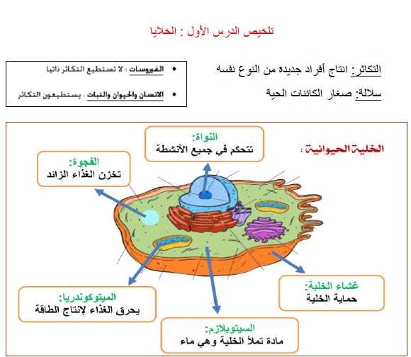 علوم رابع ابتدائي الفصل الاول