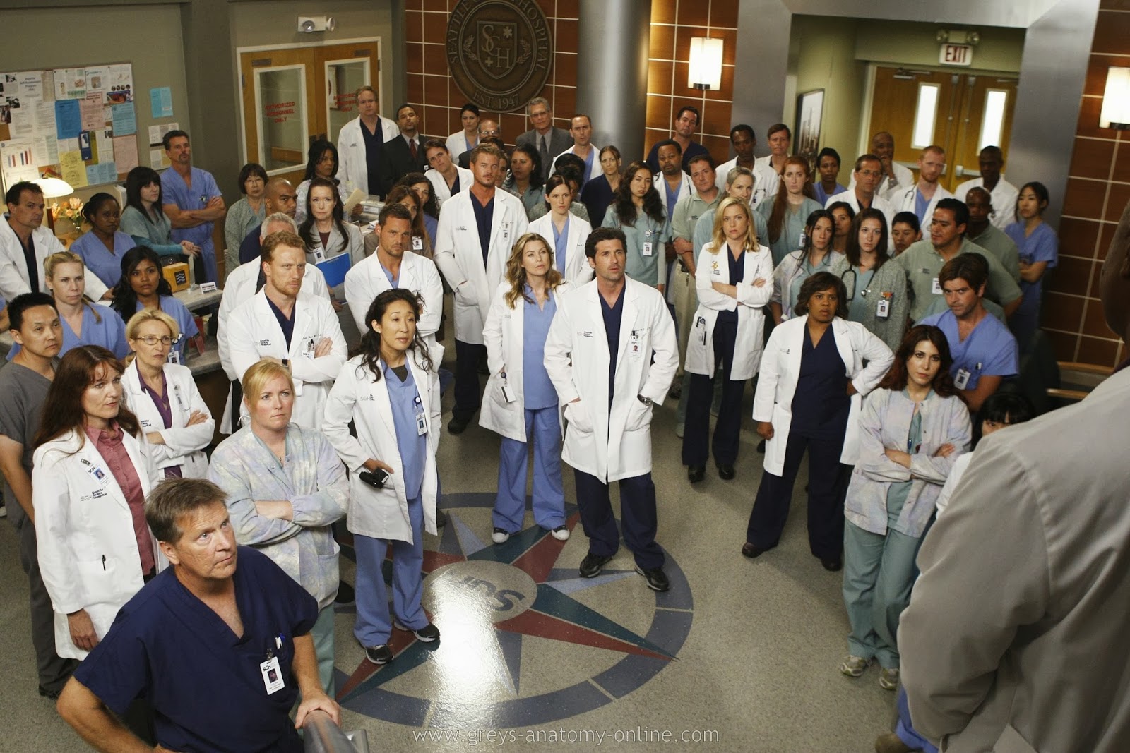 Greys Anatomy continuará por várias temporadas
