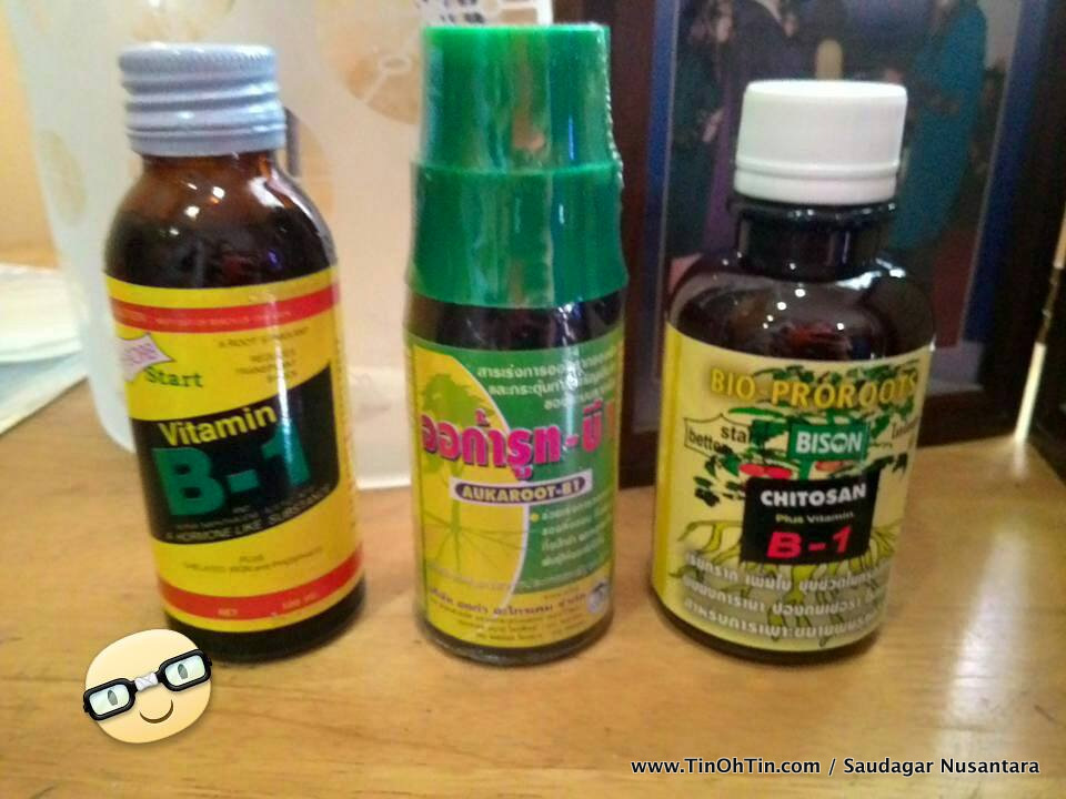 Fungsi Cara Penggunaan Chitosan B 1 Dan Aukaroot B 1 Dalam Pembiakan Pokok Tin Tin Oh Tin