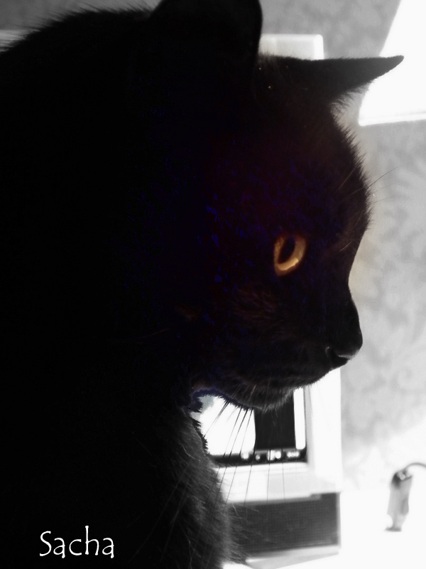 Un jour....Une photo ! Le miroir brisé