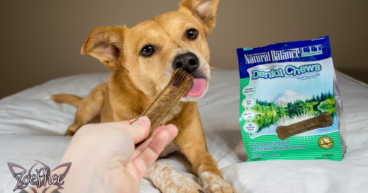 ZoePhee Natural Balance Dental Chews