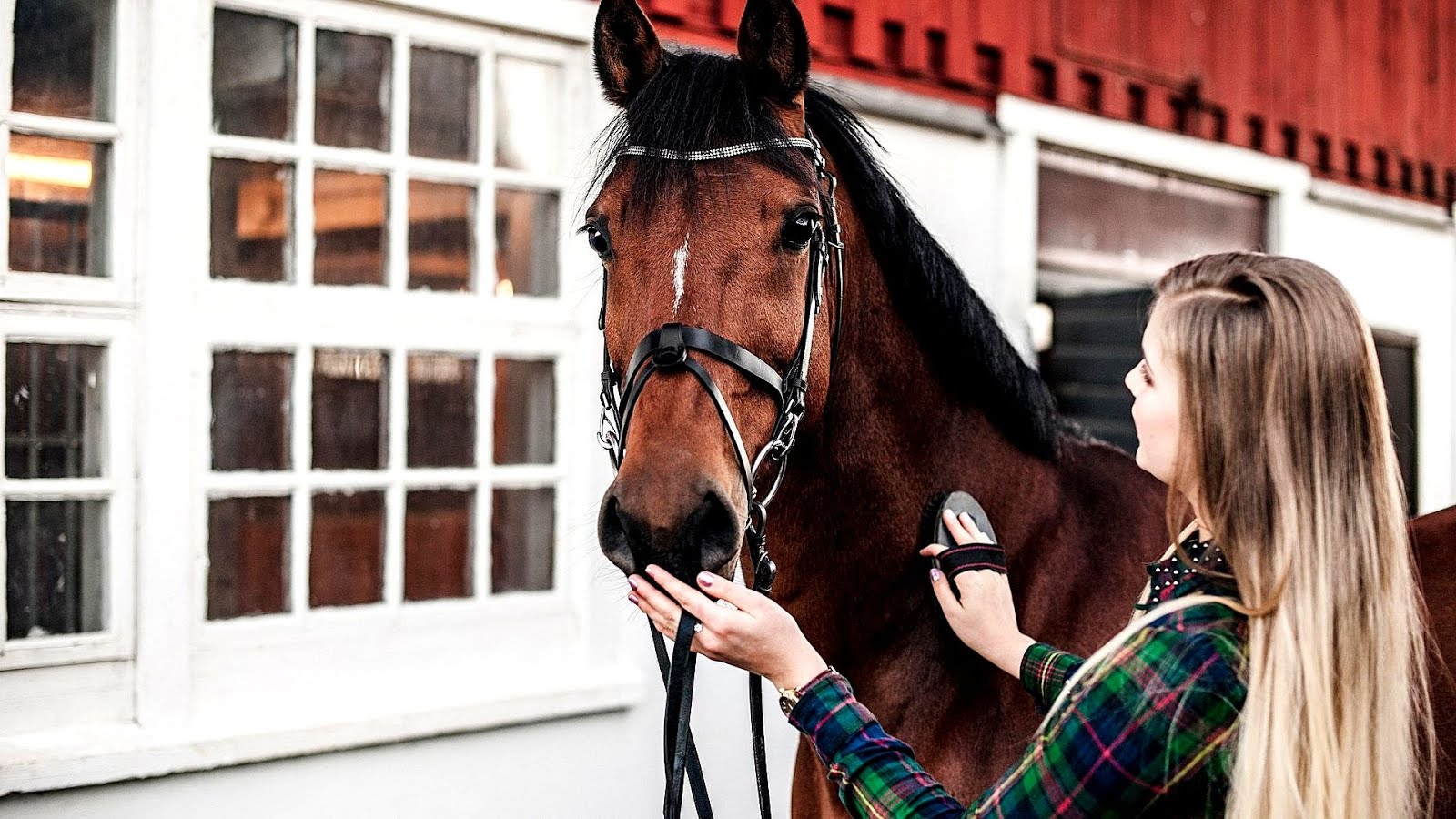 How Much Do Horse Riding Lessons Cost Horse Choices