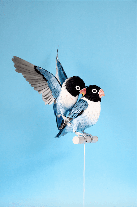 Diana Beltrán Herrera Pájaros de papel