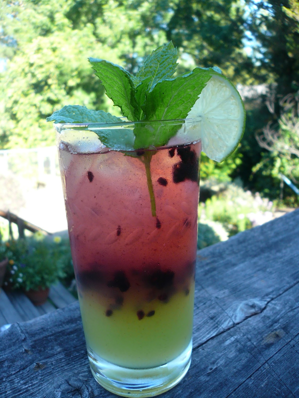 Countryman Foraging California's Wild Side The Next Step