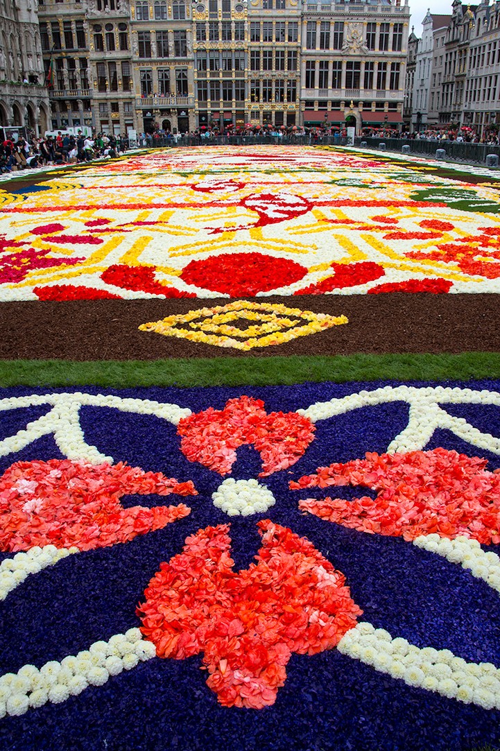 Belgium Makes Enormous Flower 'Carpet' Out of 600,000 Blooms To Celebrate 150 Years of Friendship With Japan