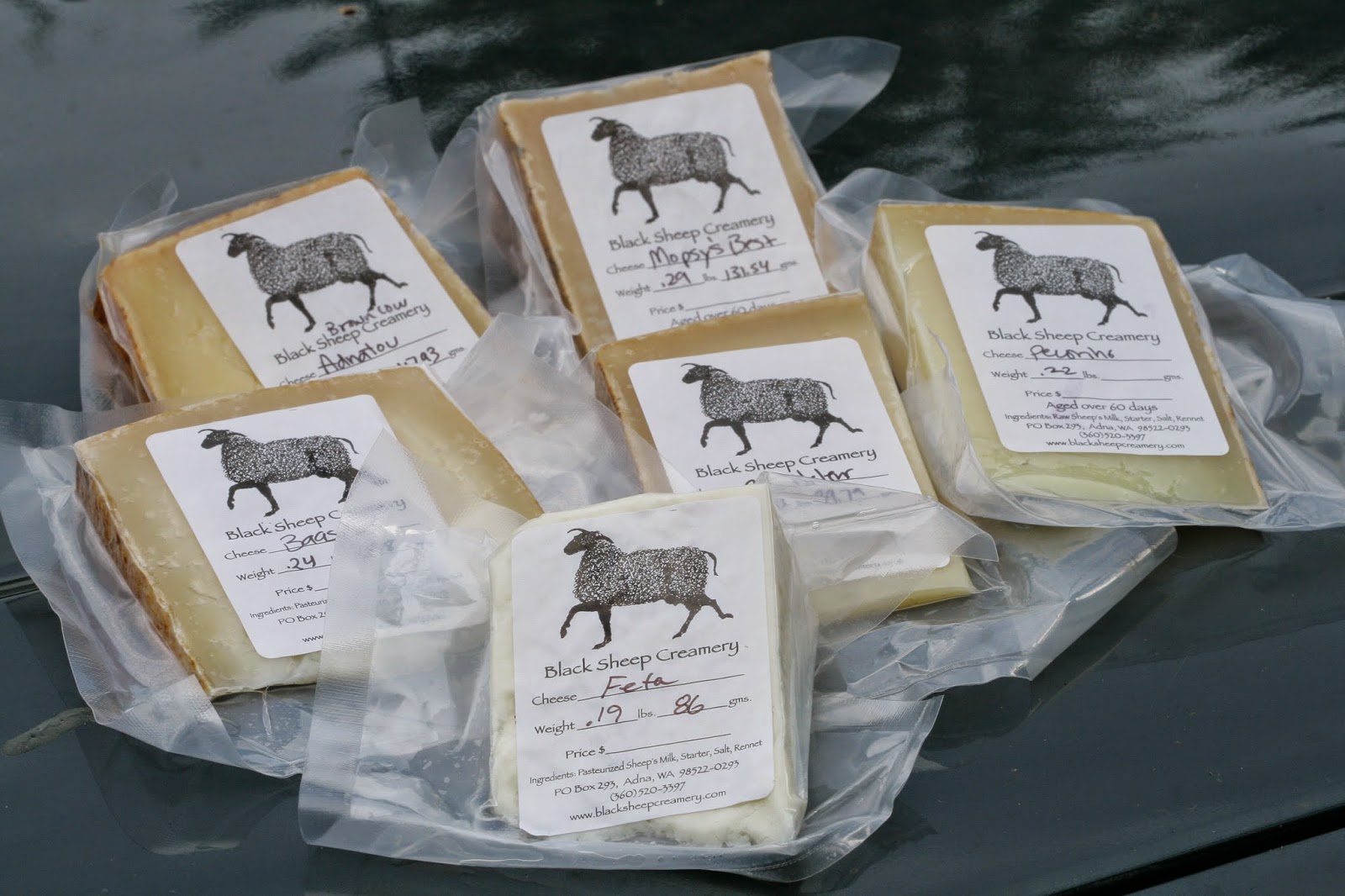 The Cheese Novice Focus On Black Sheep Creamery