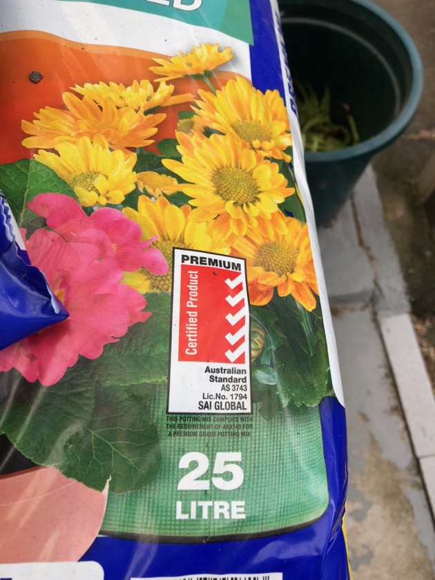Setting up your garden in pots down to earth