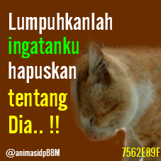 DP BBM GALAU KEREN - Kochie Frog