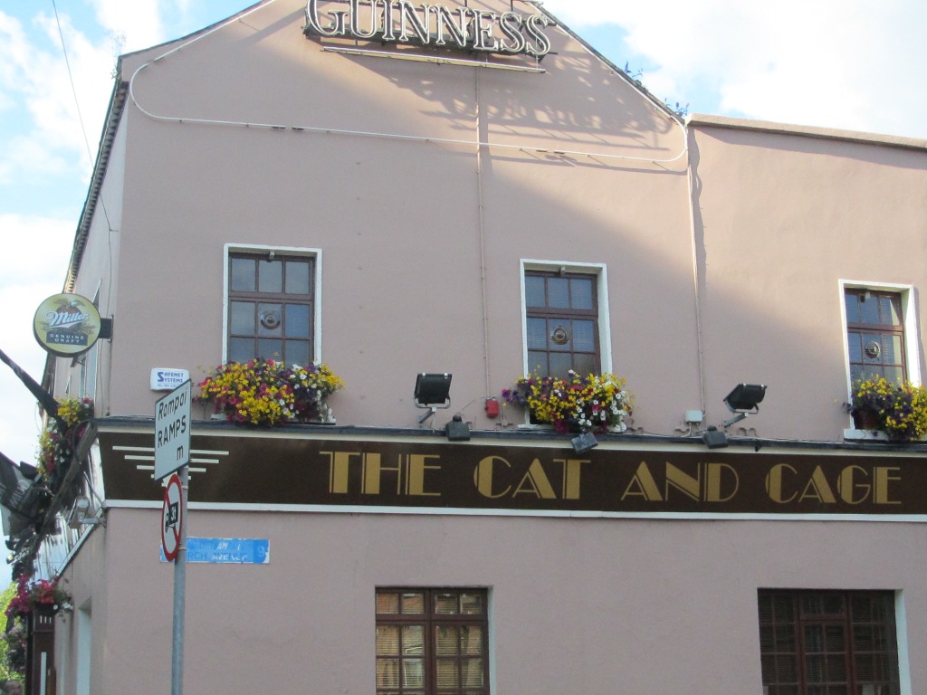 Sabbatical Journeys 2011 Cat and Cage