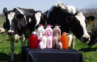 Exclusive Shatto Milk Company Tour and Tasting