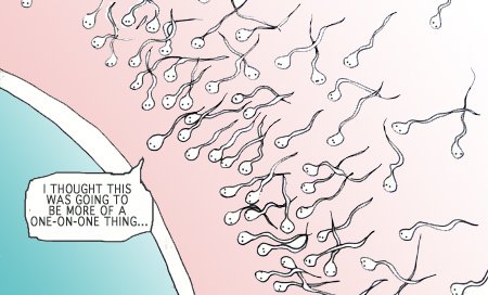 Male fertility