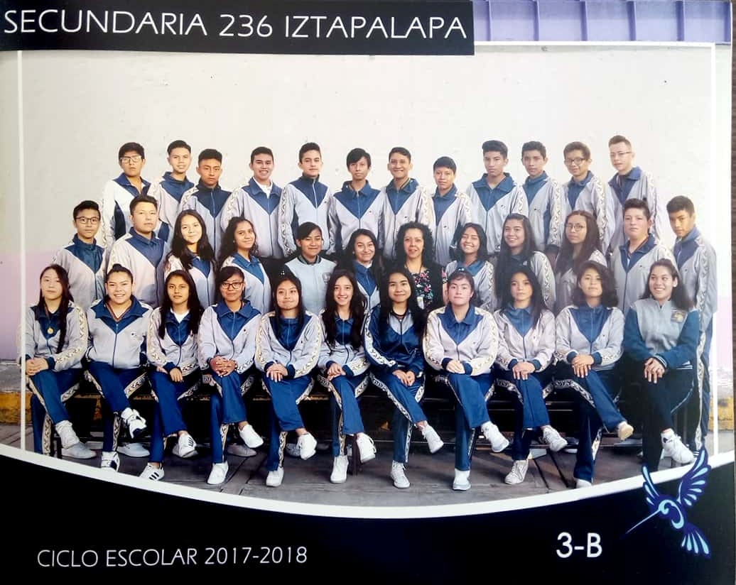 SECUNDARIA 236  SECUNDARIA 236