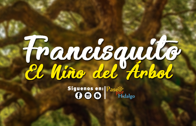 Francisquito: El Niño del Árbol | Leyendas Hidalgo - Paseo Por Hidalgo
