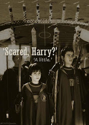 potter harry quidditch gryffindor team stone philosopher james hogwarts oliver wood alumni quotes fandom hogwartsalumni stuff serien sprueche filme buecher