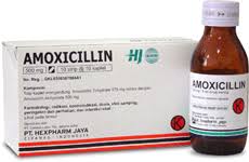 Obat Amoxicillin untuk mengatasi berbagai jenis bakteri Obat Amoxicillin untuk mengatasi berbagai jenis bakteri