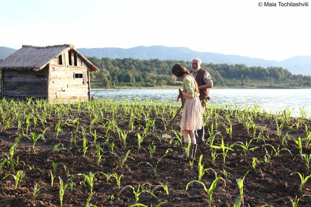 Especial KVIFF 2014 Corn Island (Simindis kundzuli), de Ovashvili