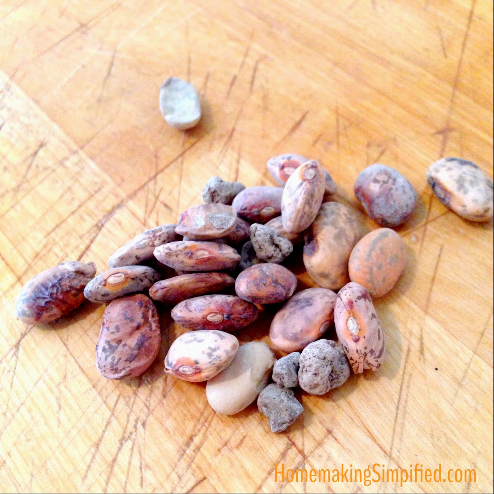Homemaking Simplified How to Sort and Clean Dry Beans Pictorial