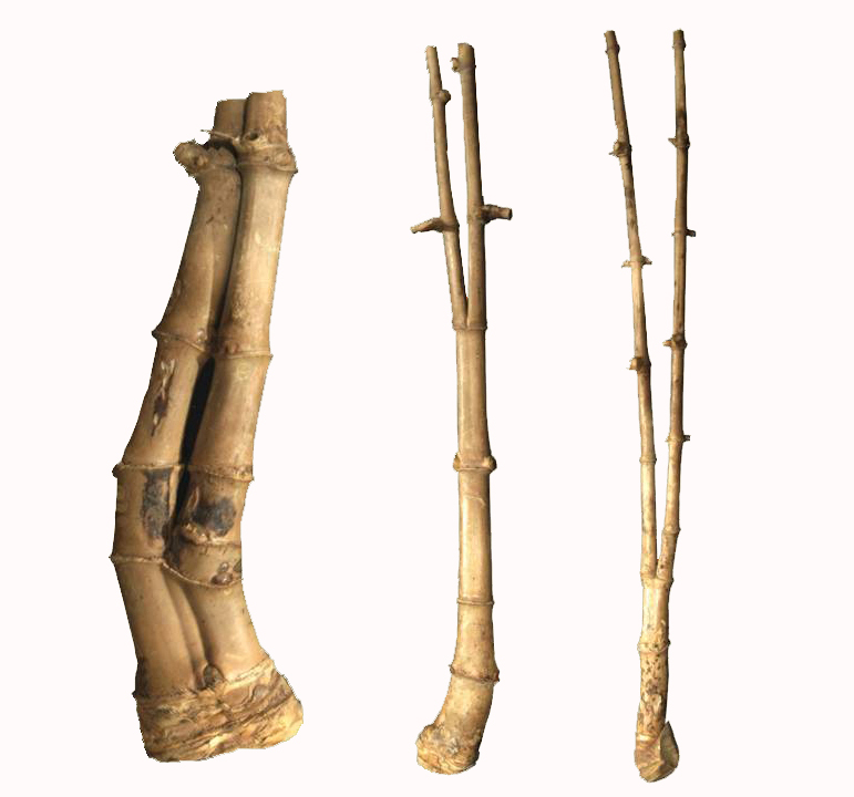 BATU AKIK 10 Benda Bertuah di Indonesia Paling Ampuh