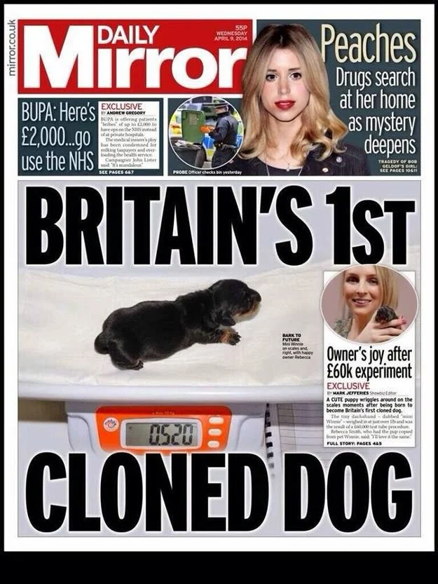 Britain's 1st cloned dog