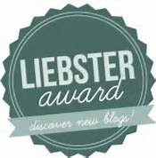 Liebster Award 2013