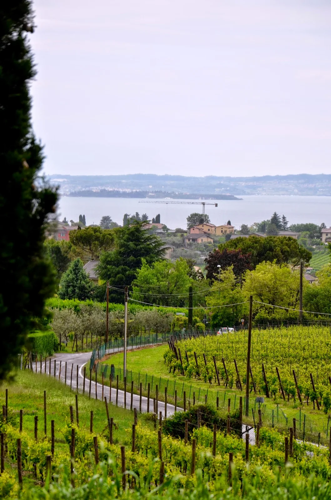 lake garda wine roads