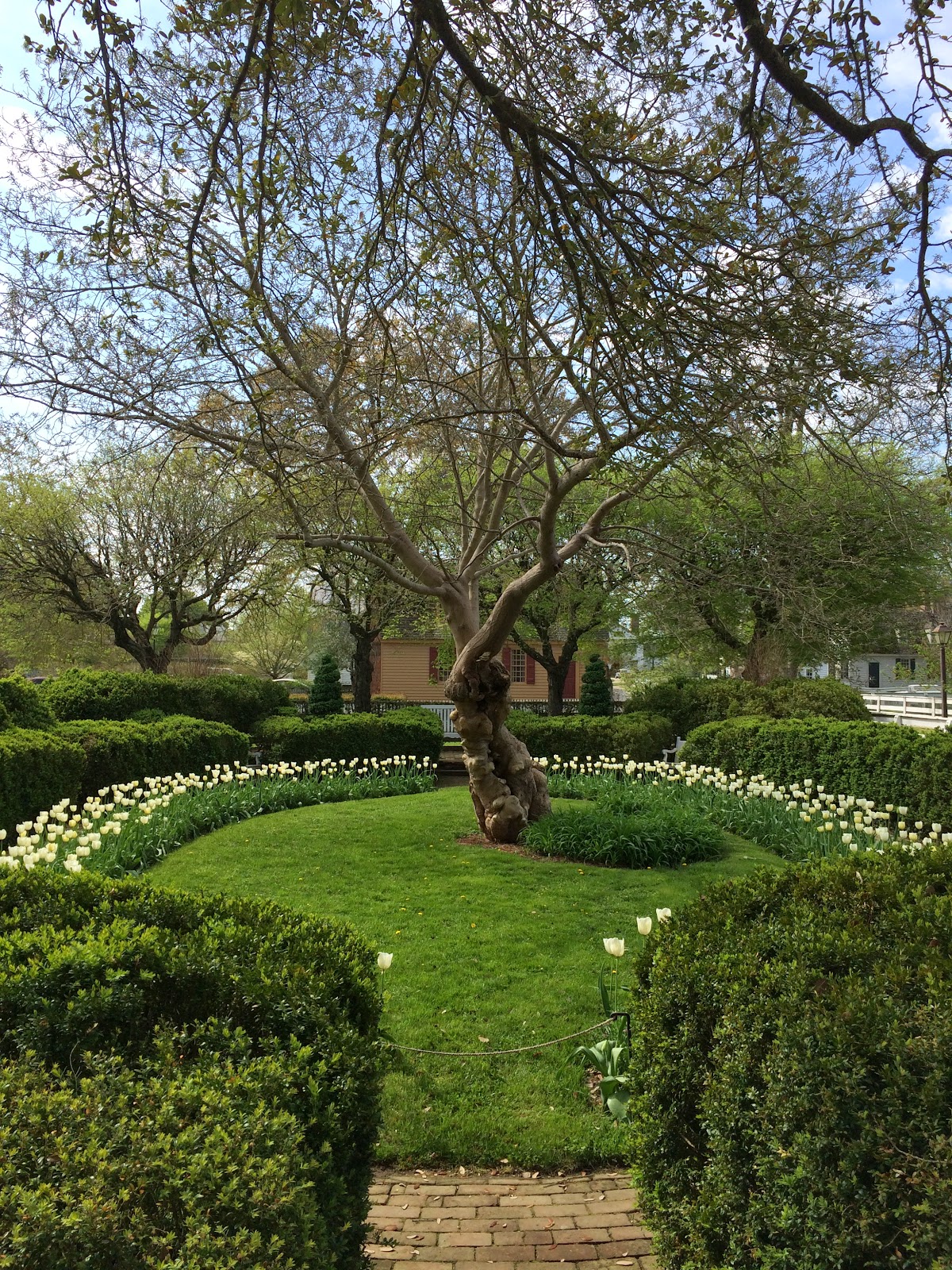 Colonial Williamsburg garden via foobella.blogspot.com