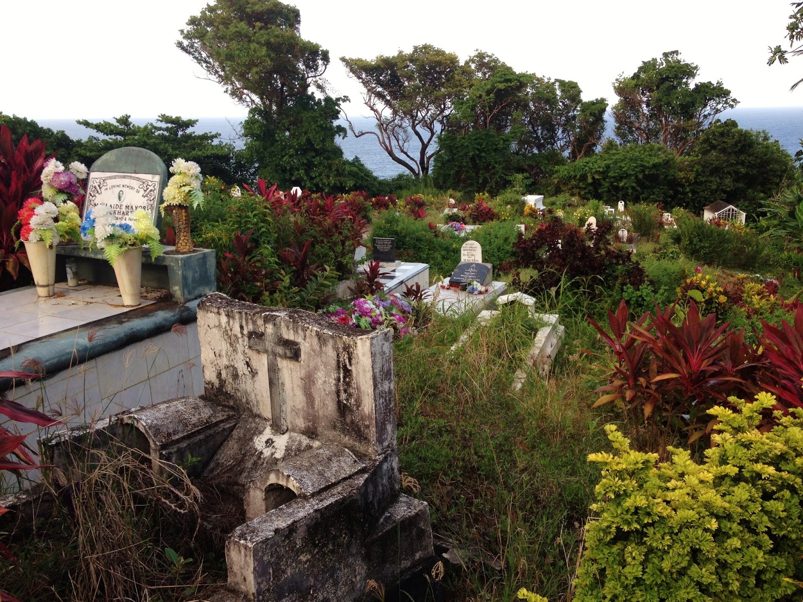 David Kurtz's Kuribbean Quest From West Virginia to the West Indies