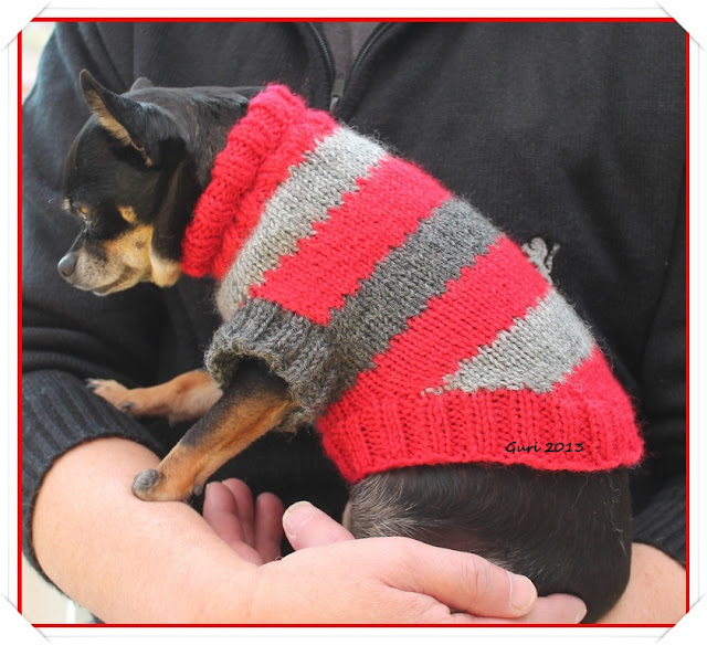 Genser-Til-Hund-Mønstre