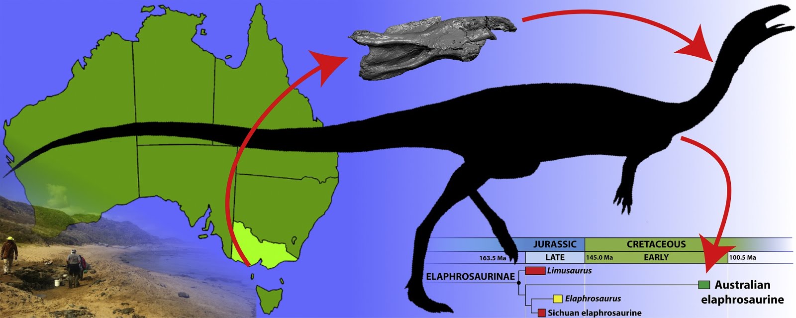 На какой территории жили динозавры. Карта динозавров. Обитание динозавров. Карта обитания динозавров. Где обитали динозавры.