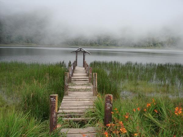 danau taman hidup